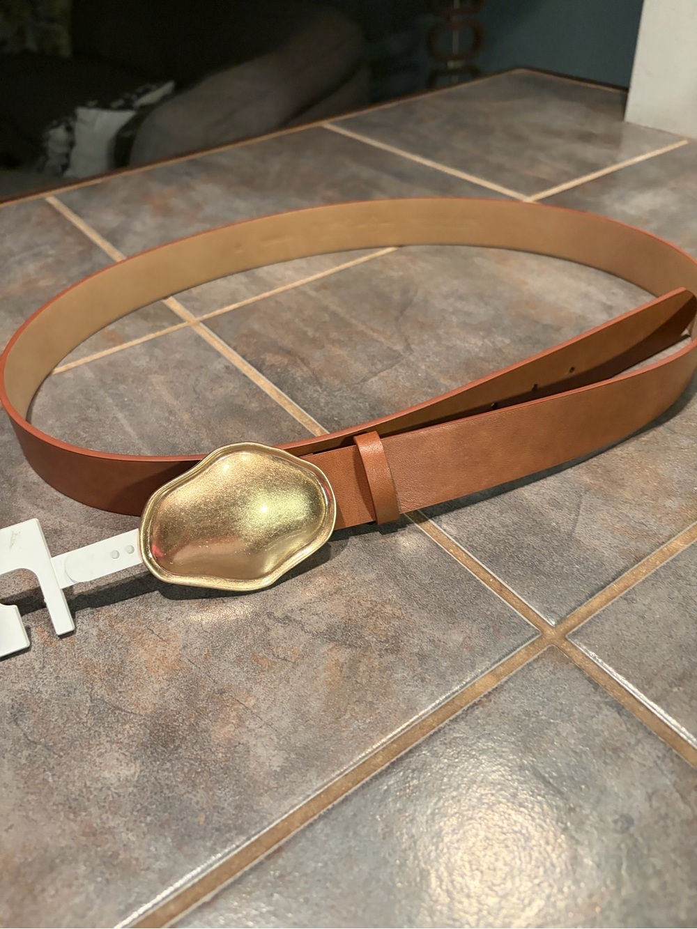 NWT Jessica Simpson Brown Leather Belt with Gold Sculpted Buckle- 3X